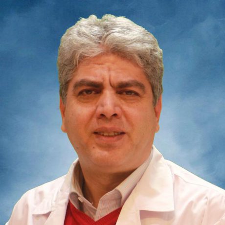 صفحه اصلی
